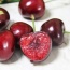 Cherry (anh đào) nhập khẩu tươi ngon, an toàn